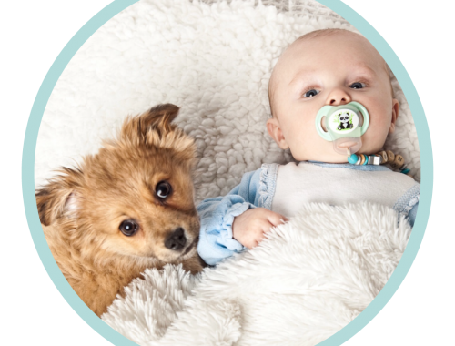 Dogs And Babies Baby Lieing Down Next To Dog