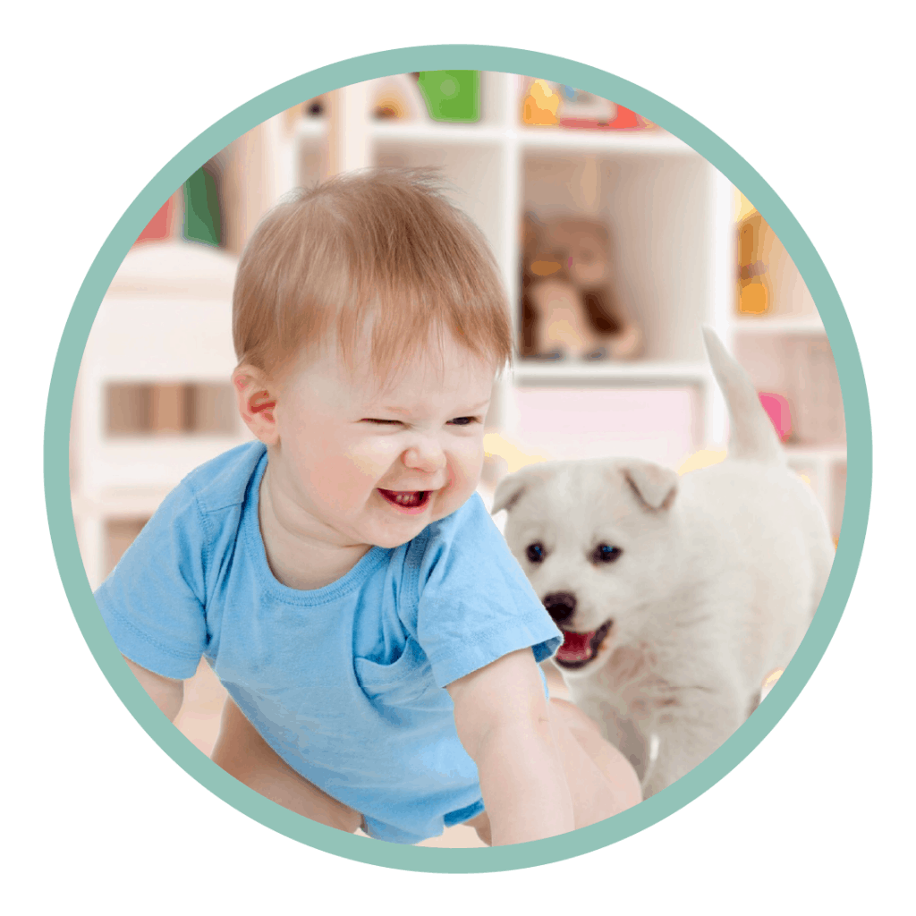 dog chasing baby
